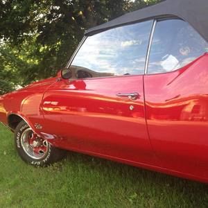 Meet your Posher, Diana